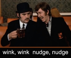 wink-nudge